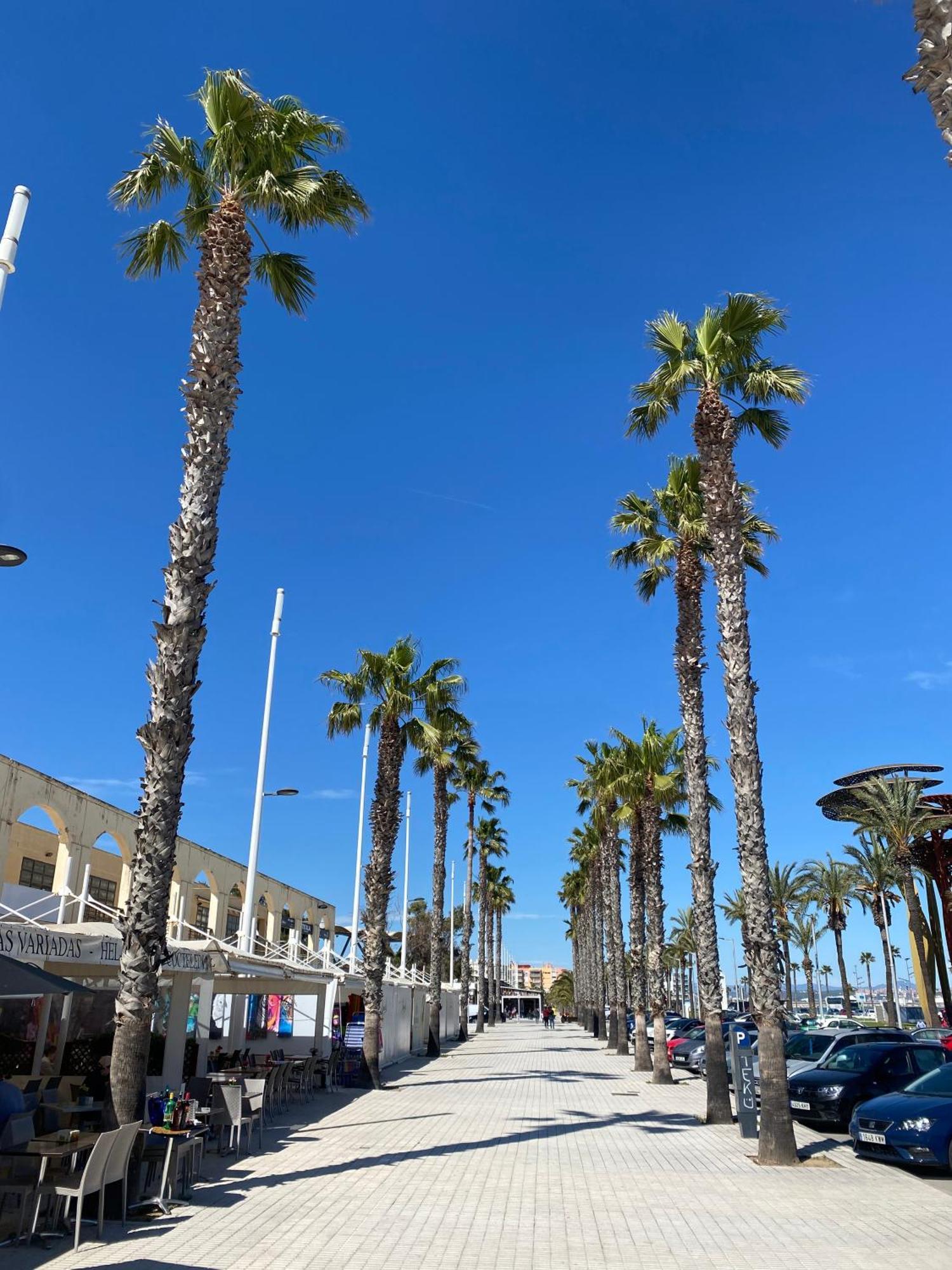 Apartment 13199, Next To The Beach In The Sun, Building Dms-2 La Pineda Exterior foto
